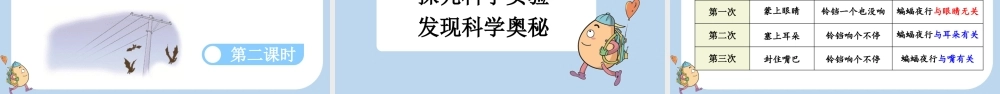 【统编版2025秋新教材】小学语文四年级上册第二单元-6 夜间飞行的秘密 课件
