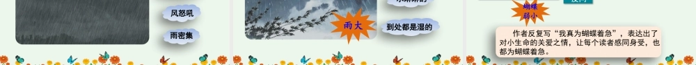 【统编版2025秋新教材】小学语文四年级上册第二单元-8 蝴蝶的家【优 质版】课件