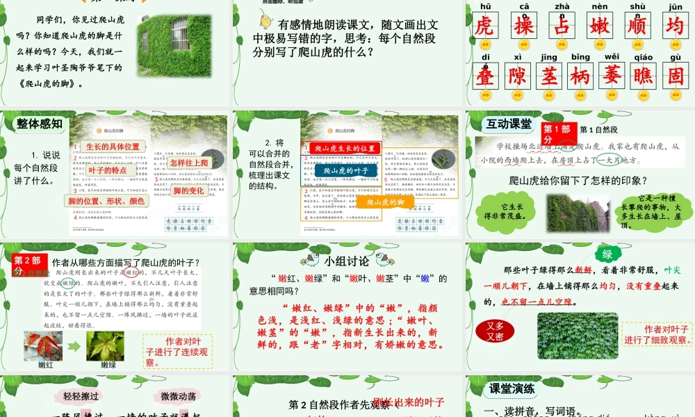 【统编版2025秋新教材】小学语文四年级上册第三单元-10 爬山虎的脚【精 华版】 课件