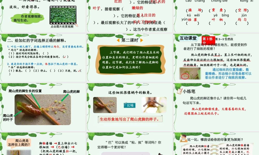 【统编版2025秋新教材】小学语文四年级上册第三单元-10 爬山虎的脚【精 华版】 课件