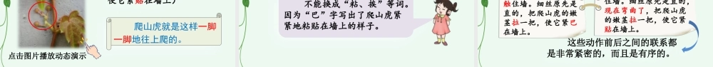 【统编版2025秋新教材】小学语文四年级上册第三单元-10 爬山虎的脚【精 华版】 课件
