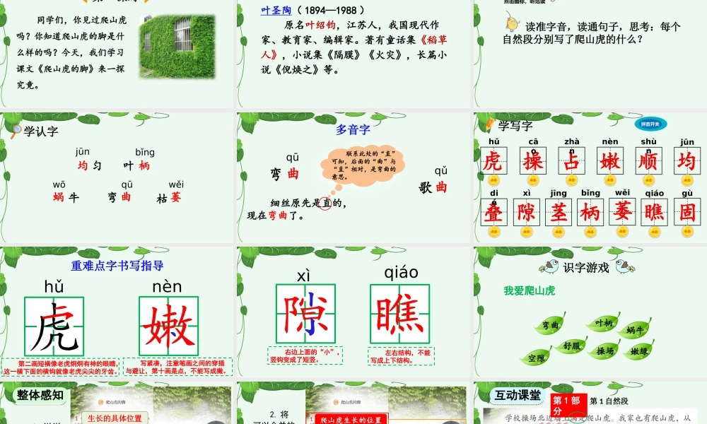 【统编版2025秋新教材】小学语文四年级上册第三单元-10 爬山虎的脚【优 质版】课件