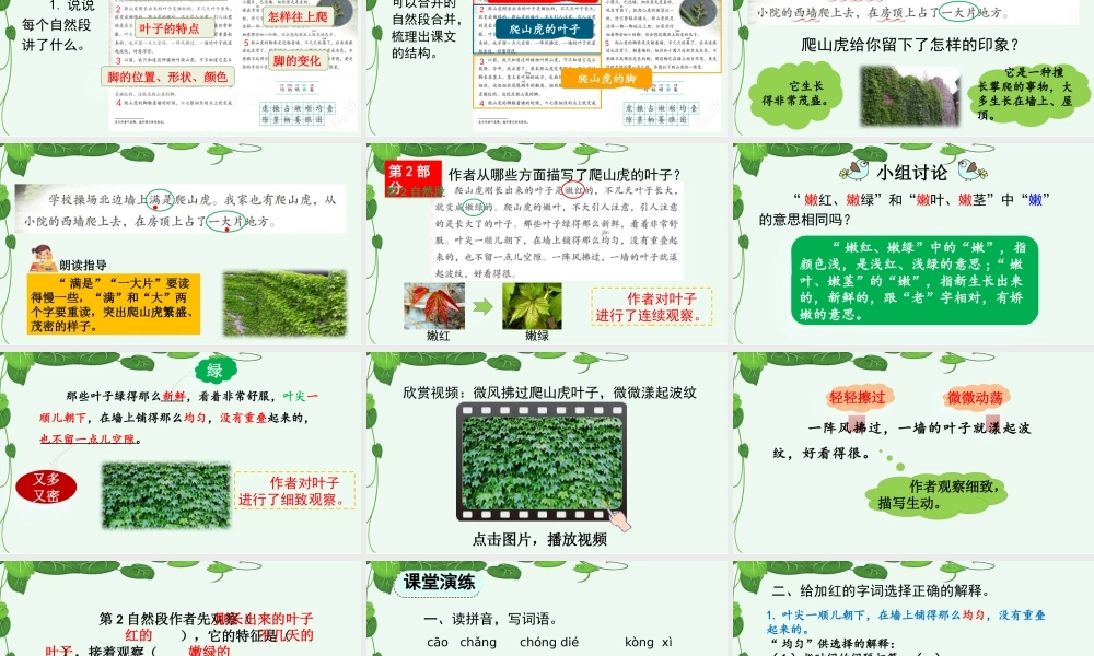 【统编版2025秋新教材】小学语文四年级上册第三单元-10 爬山虎的脚【优 质版】课件