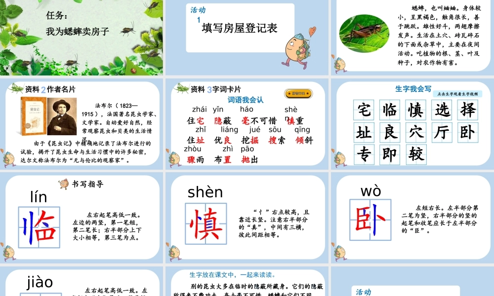 【统编版2025秋新教材】小学语文四年级上册第三单元-11 蟋蟀的住宅 课件