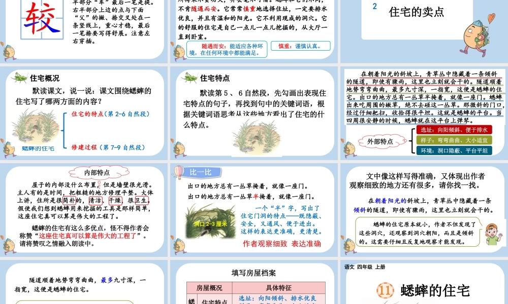 【统编版2025秋新教材】小学语文四年级上册第三单元-11 蟋蟀的住宅 课件