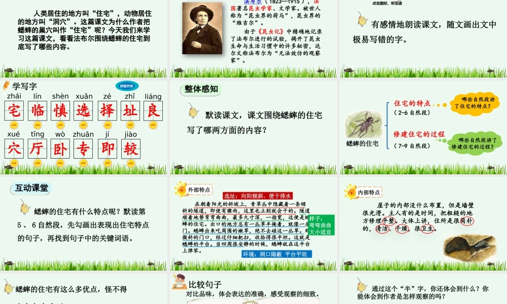 【统编版2025秋新教材】小学语文四年级上册第三单元-11 蟋蟀的住宅【精 华版】 课件