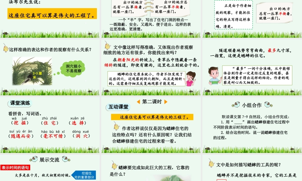 【统编版2025秋新教材】小学语文四年级上册第三单元-11 蟋蟀的住宅【精 华版】 课件