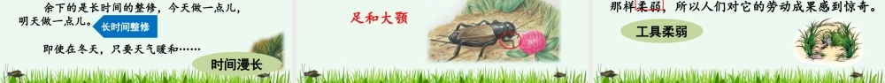 【统编版2025秋新教材】小学语文四年级上册第三单元-11 蟋蟀的住宅【精 华版】 课件