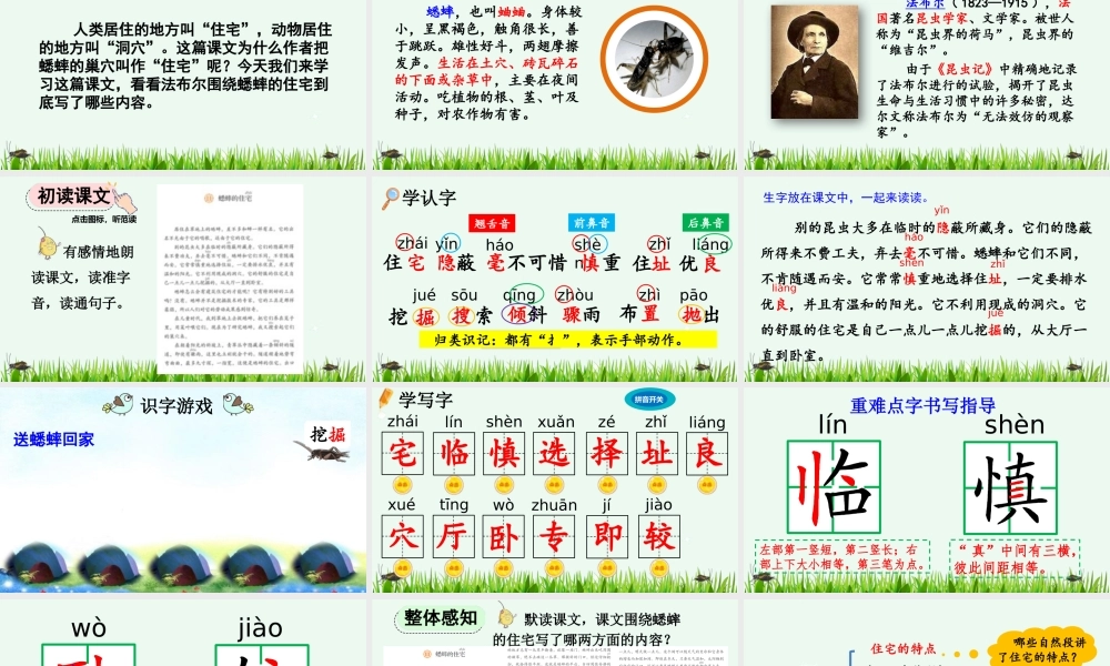 【统编版2025秋新教材】小学语文四年级上册第三单元-11 蟋蟀的住宅【优 质版】课件