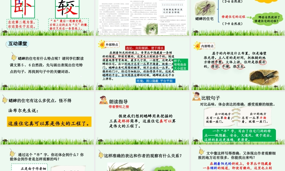 【统编版2025秋新教材】小学语文四年级上册第三单元-11 蟋蟀的住宅【优 质版】课件