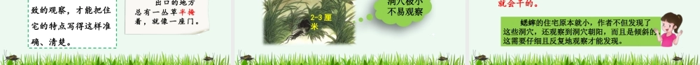 【统编版2025秋新教材】小学语文四年级上册第三单元-11 蟋蟀的住宅【优 质版】课件