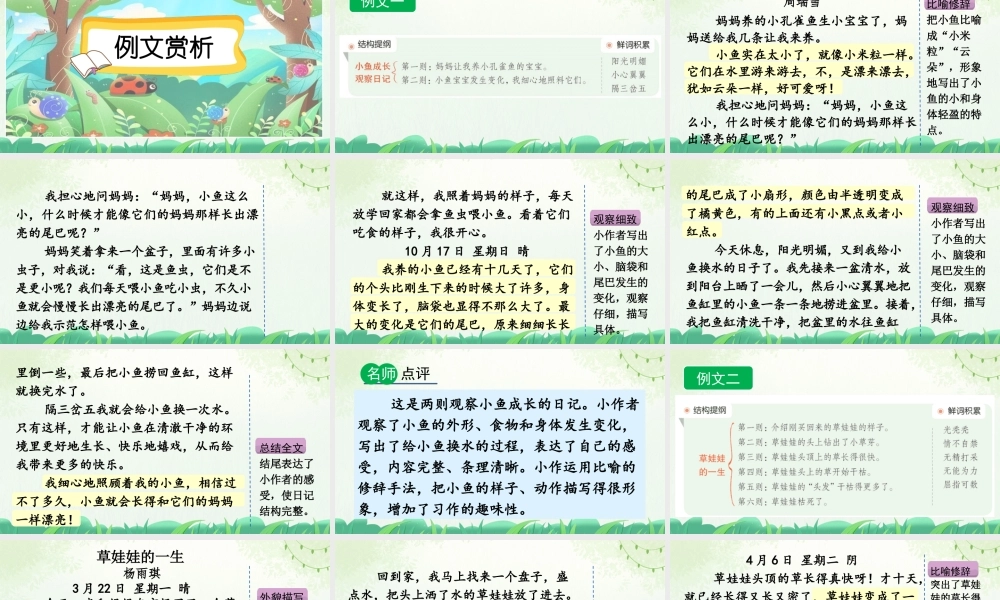 【统编版2025秋新教材】小学语文四年级上册第三单元-习作：写观察日记（范文+点评+升格） 课件