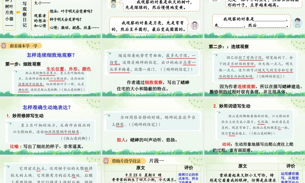 【统编版2025秋新教材】小学语文四年级上册第三单元-习作：写观察日记【上课课件优 质版】课件