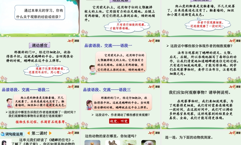 【统编版2025秋新教材】小学语文四年级上册第三单元-语文园地三【优 质版】课件