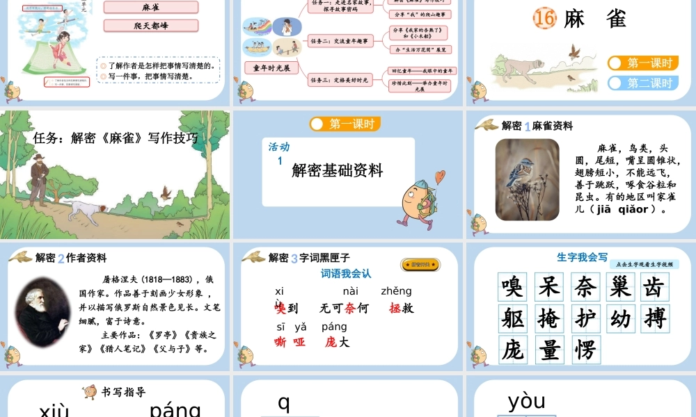 【统编版2025秋新教材】小学语文四年级上册第五单元-16 麻雀 课件
