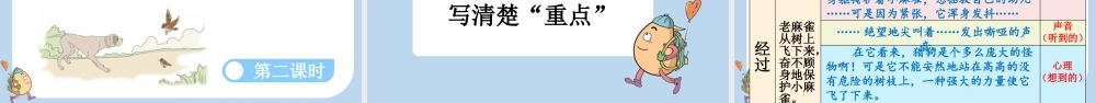 【统编版2025秋新教材】小学语文四年级上册第五单元-16 麻雀 课件