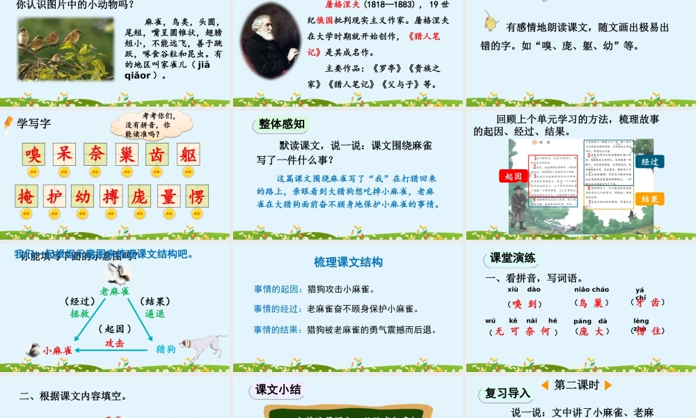 【统编版2025秋新教材】小学语文四年级上册第五单元-16 麻雀【精 华版】 课件