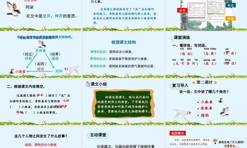【统编版2025秋新教材】小学语文四年级上册第五单元-16 麻雀【优 质版】课件