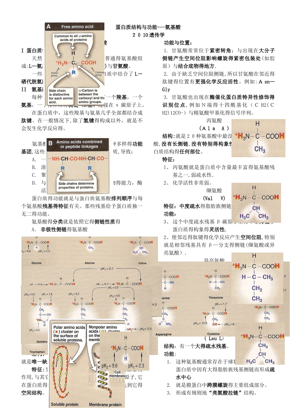 1.蛋白质结构与功能-----氨基酸_第1页