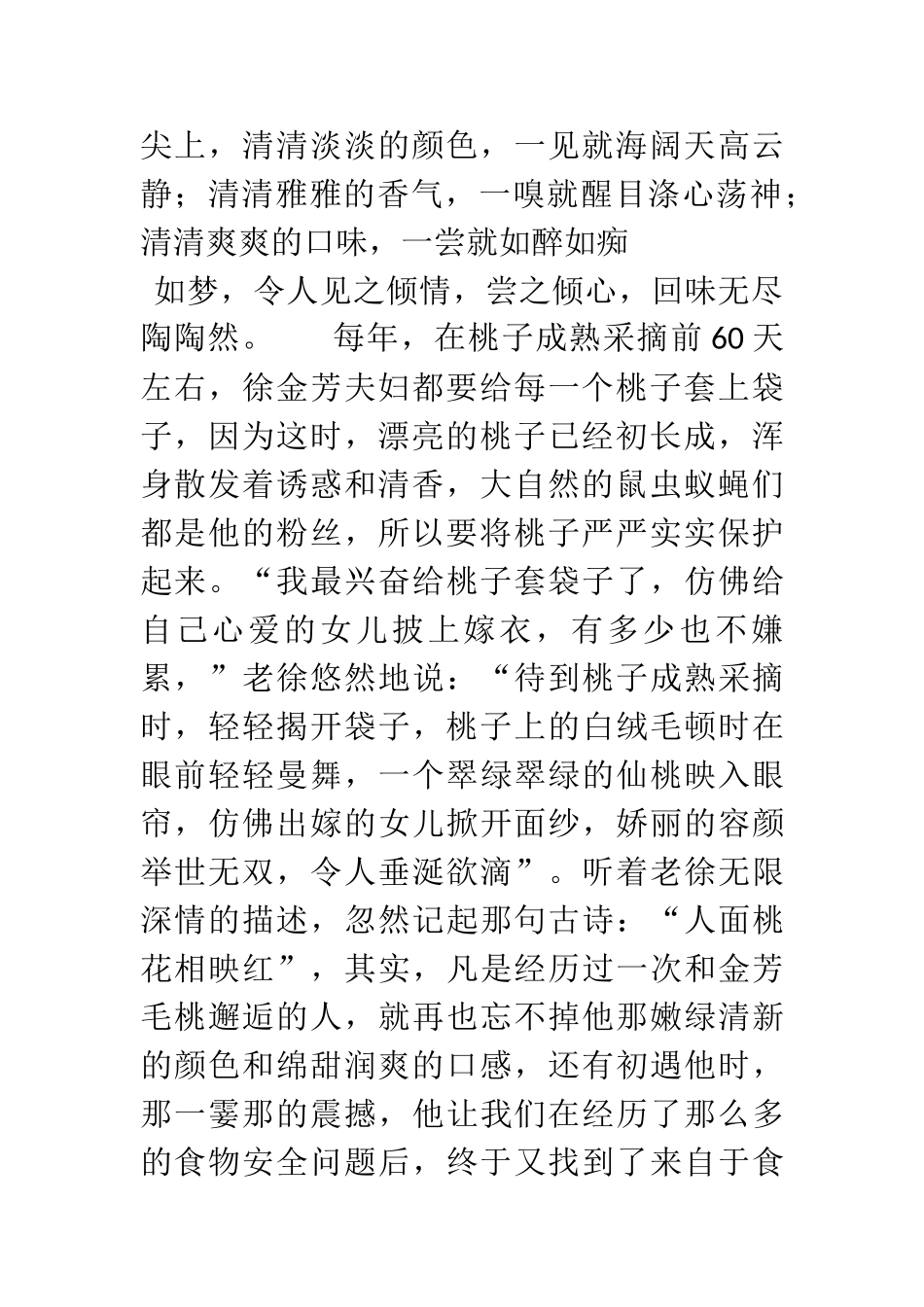 100%野生毛桃-营销方案_第2页