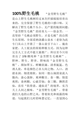 100%野生毛桃-营销方案