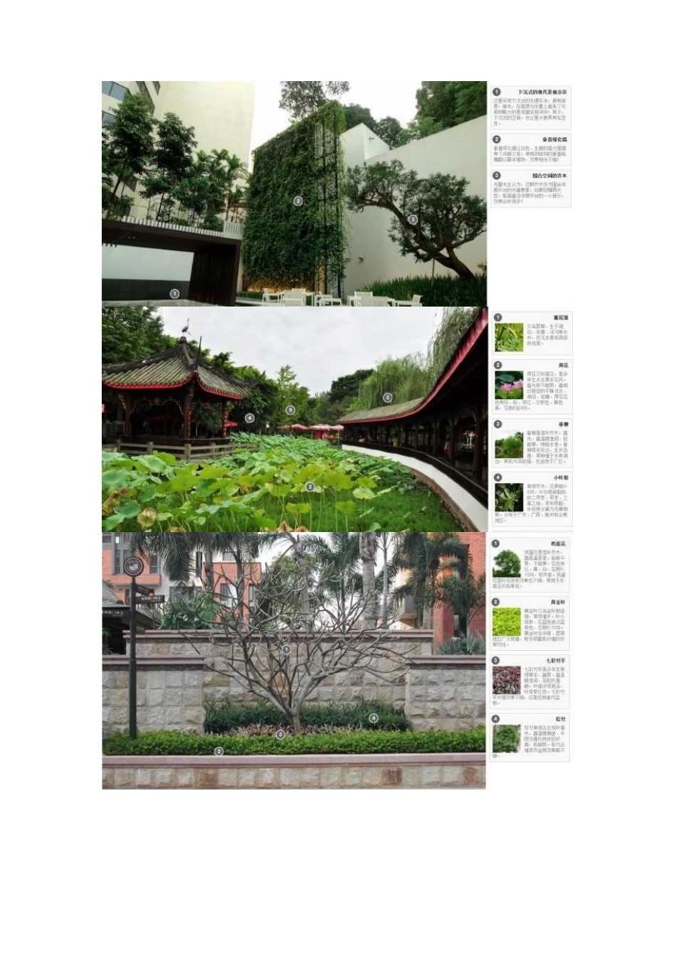 100个.景观植物配置.精品案例——看过便是学到！_第2页