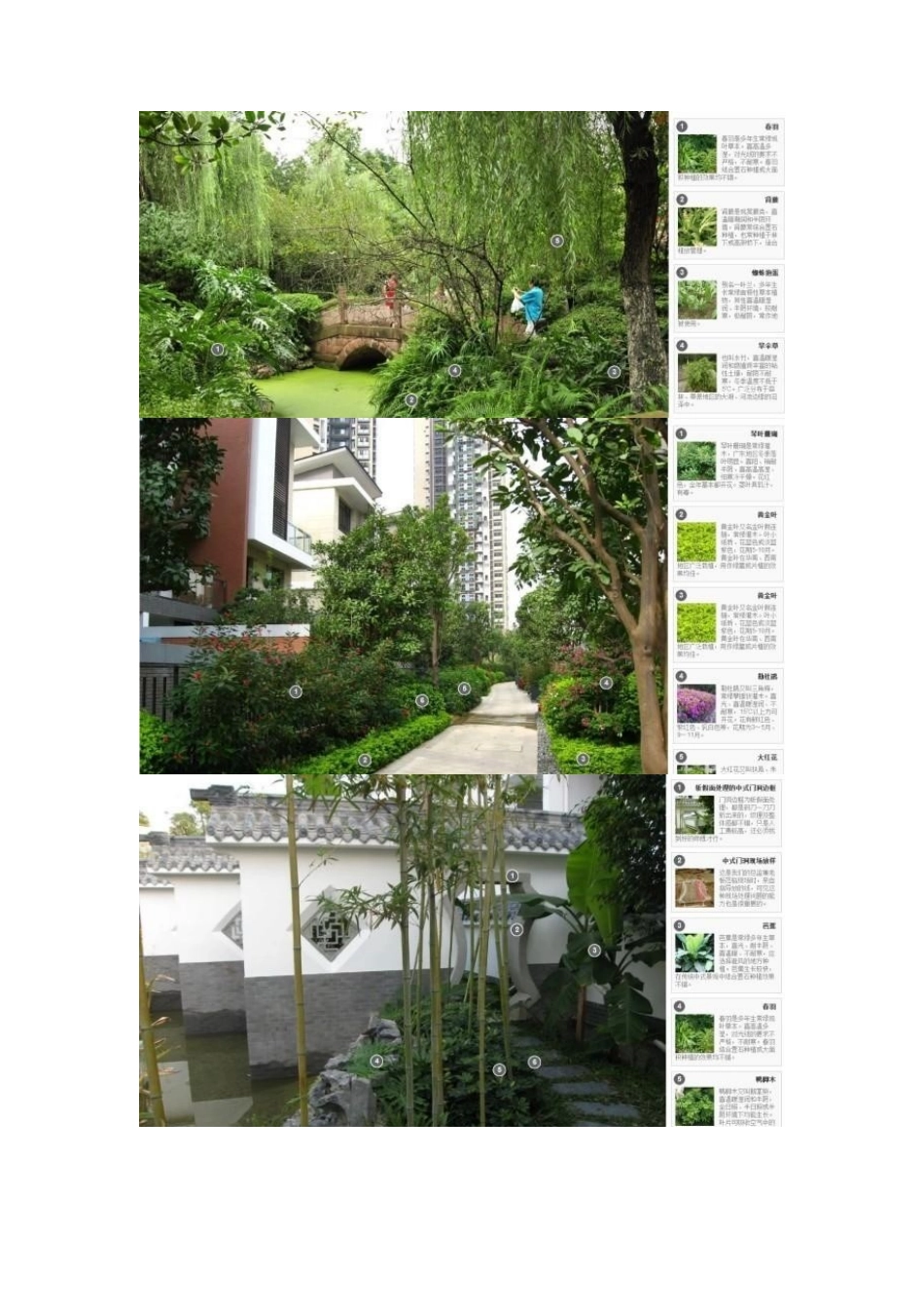 100个.景观植物配置.精品案例——看过便是学到！_第3页