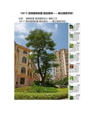 100个.景观植物配置.精品案例——看过便是学到！