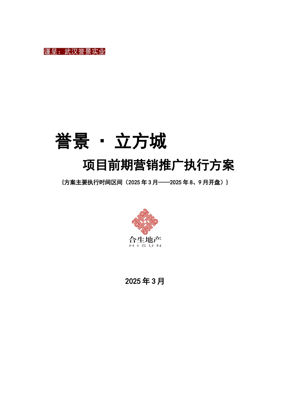 201003081154立方城项目前期营销推广执行报告_第1页