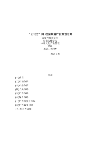 20101105780曾海正北方网策划案