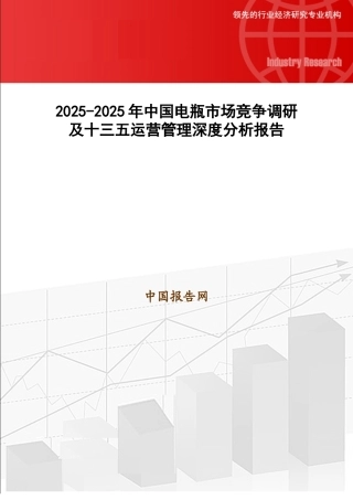 2025-2025年中国电瓶市场竞争调研及十三五运营管理深度分析报告