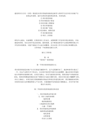 20251121房地产全程策划