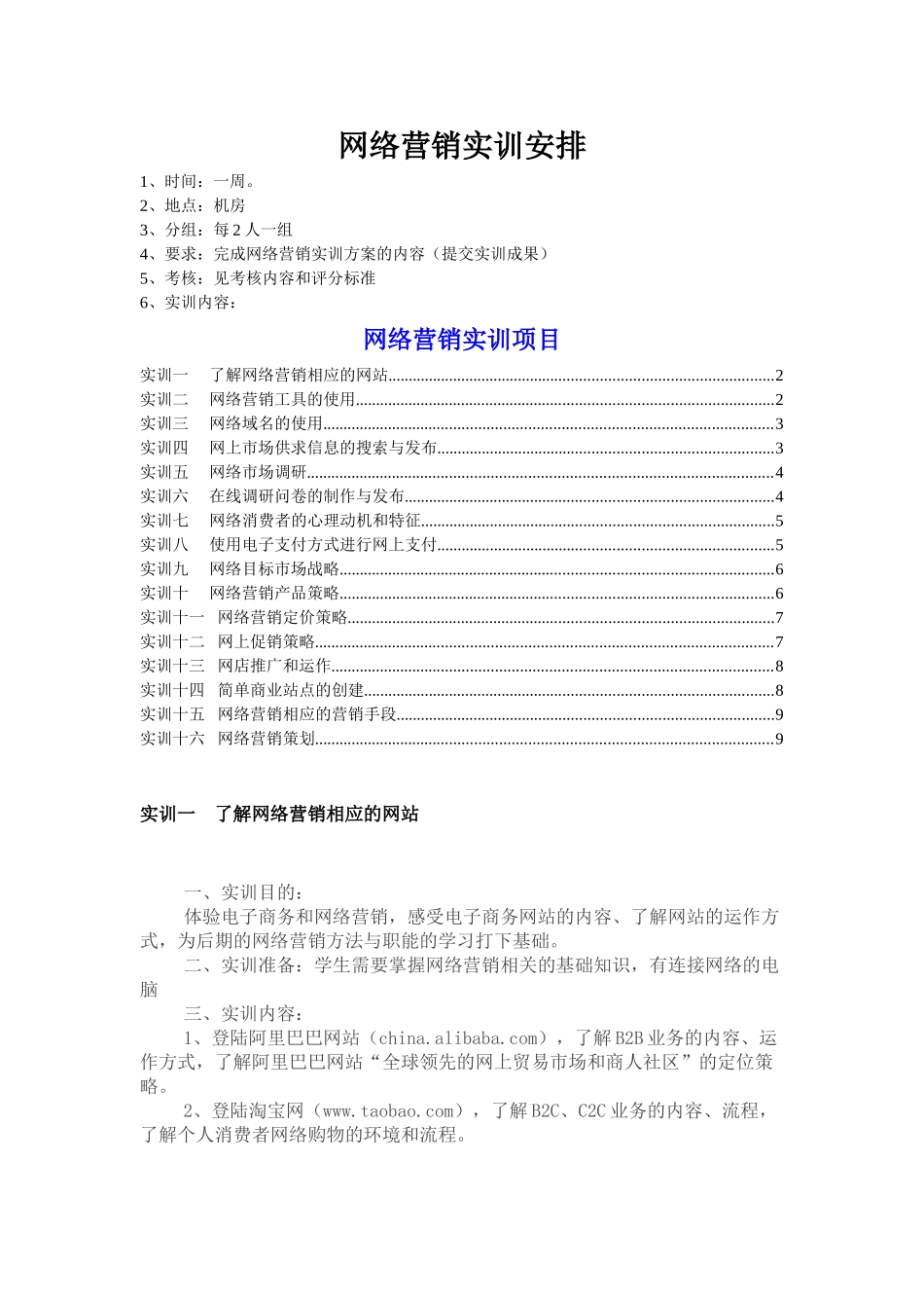 2025上网络营销综合实训_第1页