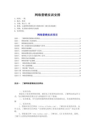 2025上网络营销综合实训