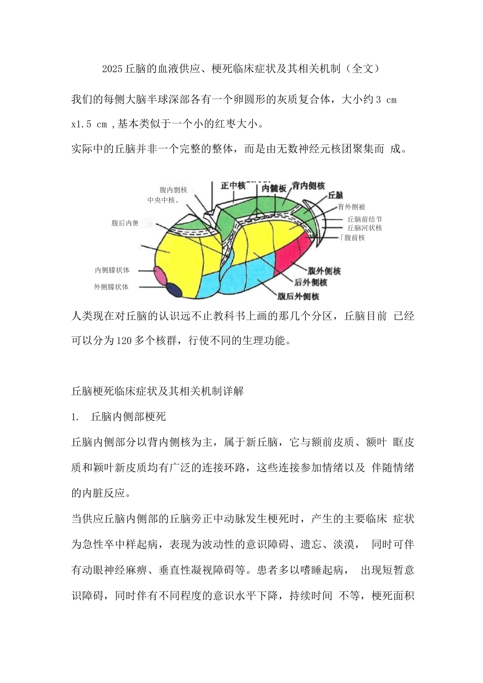 2025丘脑的血液供应、梗死临床症状及其相关机制_第1页