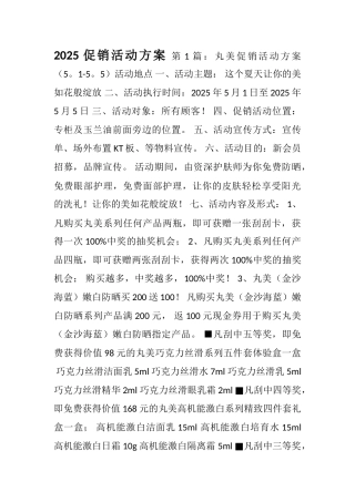2025促销活动方案