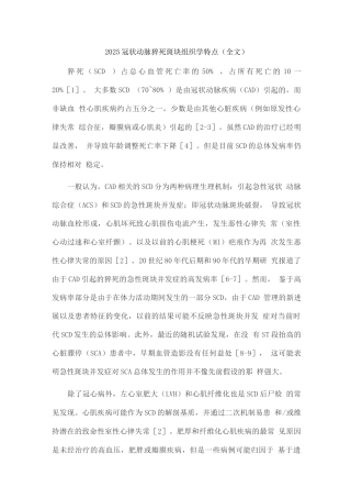 2025冠状动脉猝死斑块组织学特点