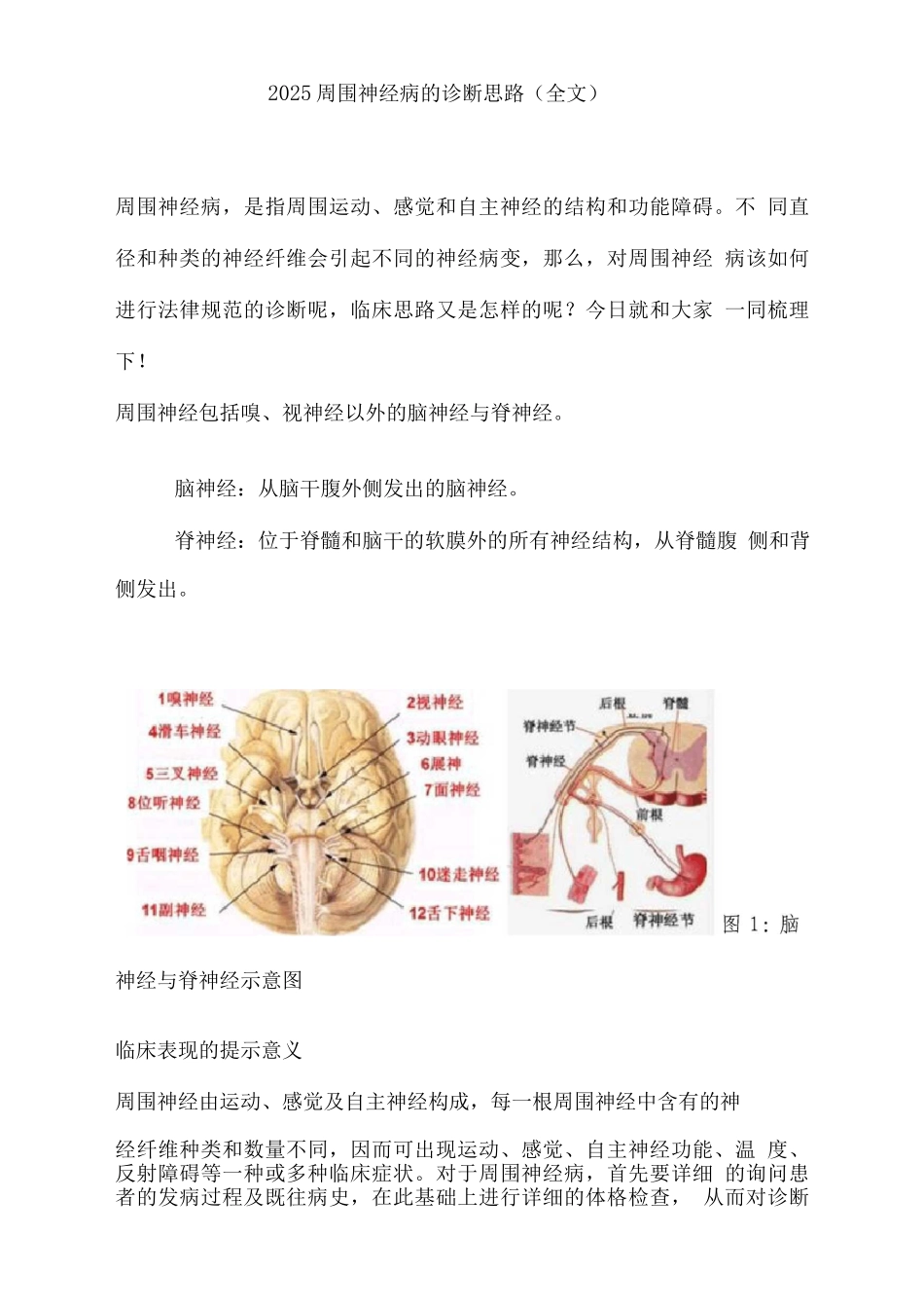 2025周围神经病的诊断思路_第1页