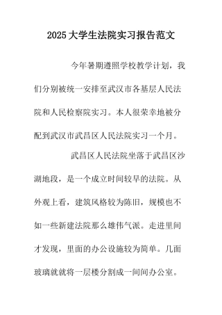 2025大学生法院实习报告范文.doc