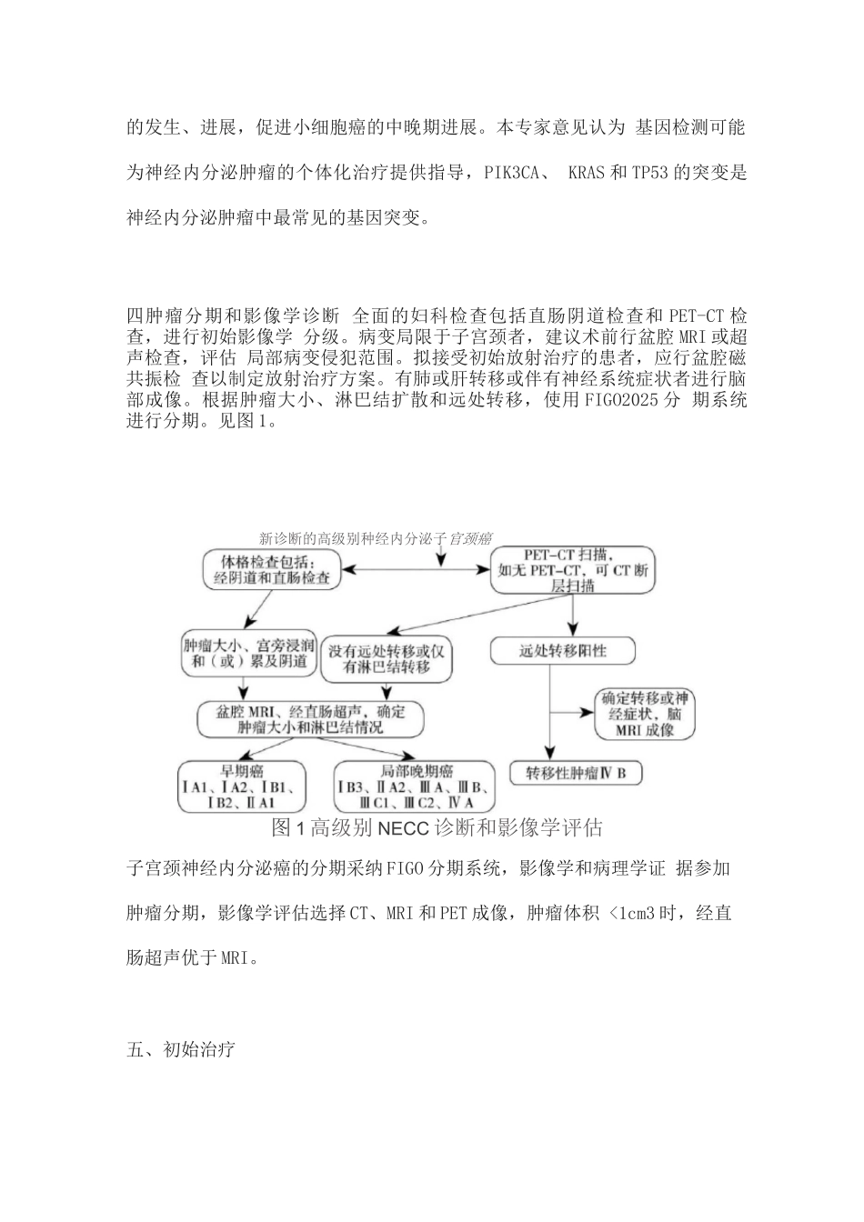 2025子宫颈神经内分泌癌诊断与治疗专家指导意见_第2页