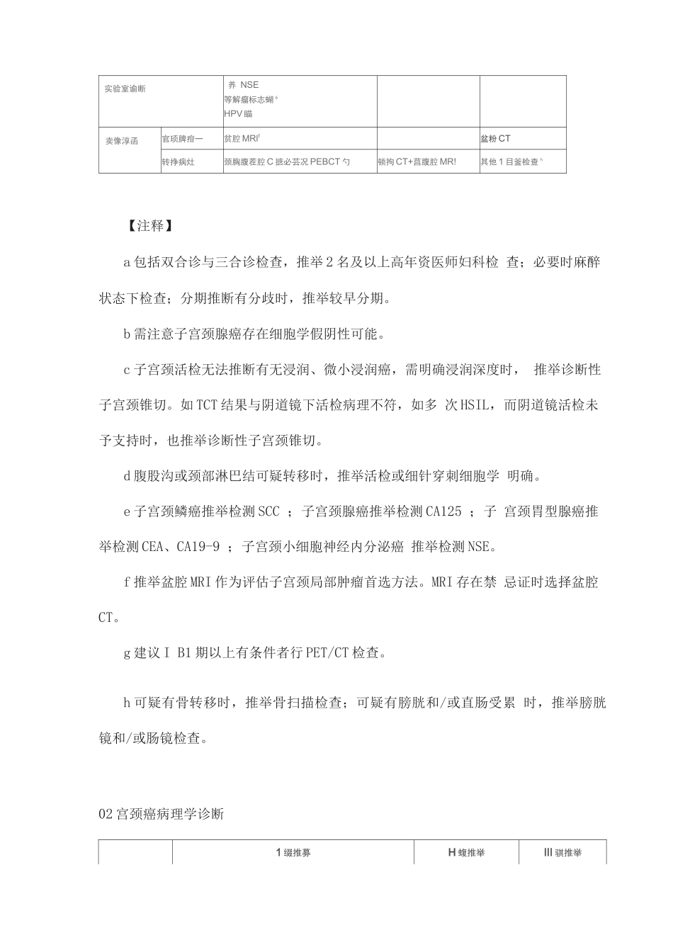 2025宫颈癌病理学诊断与分期_第2页