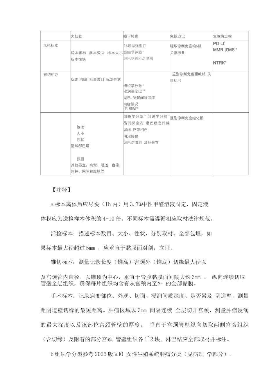 2025宫颈癌病理学诊断与分期_第3页