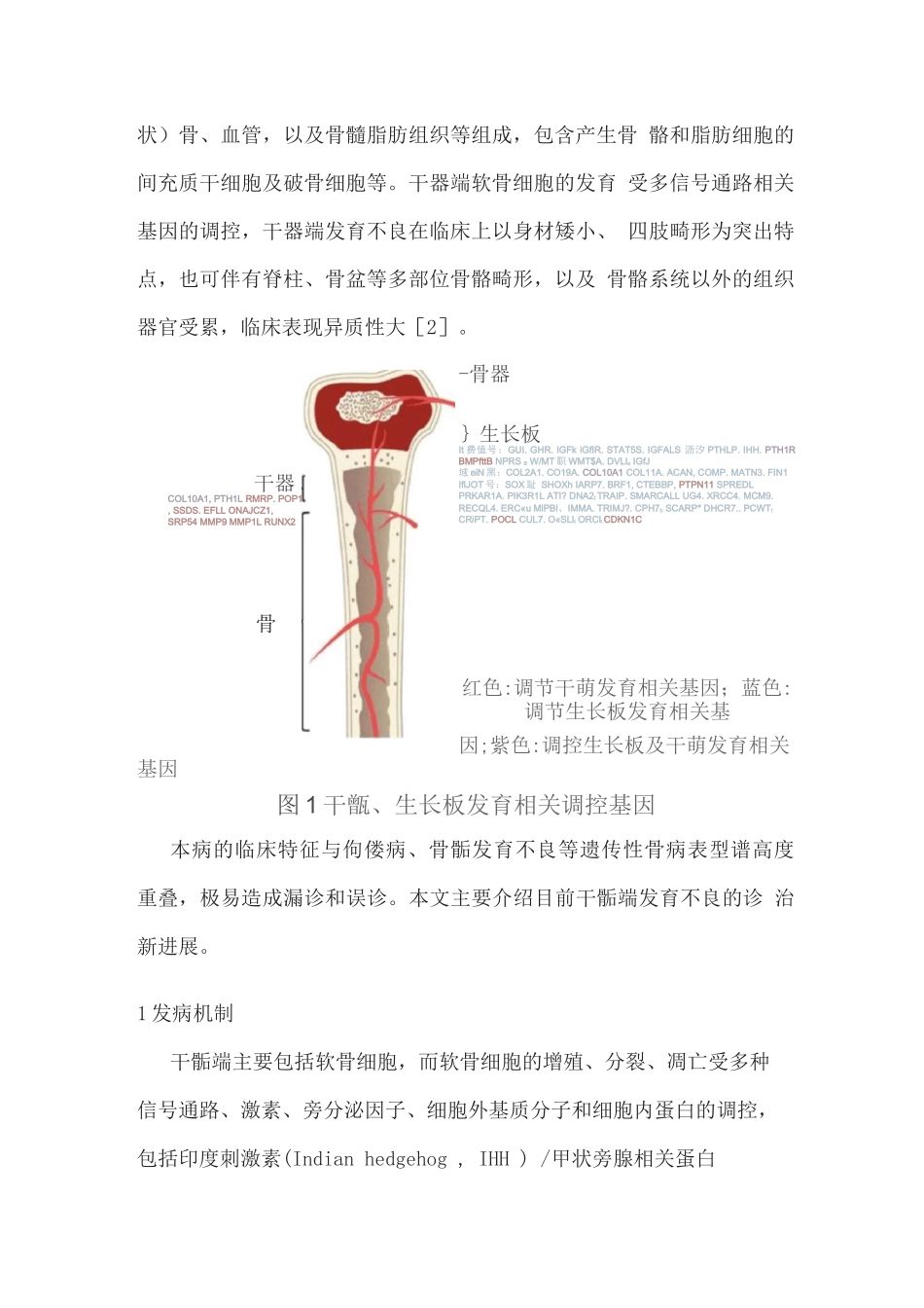 2025干骺端发育不良的分类及诊治进展_第2页