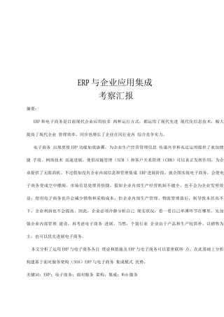 2025年ERP与企业应用集成考查报告