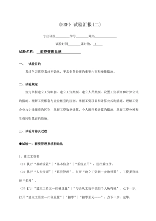 2025年ERP薪资管理系统实验报告