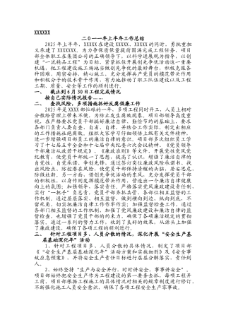 2025年上半年总结报告