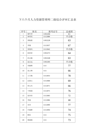 2025年下半年人力资源管理师二级综合评审汇总表