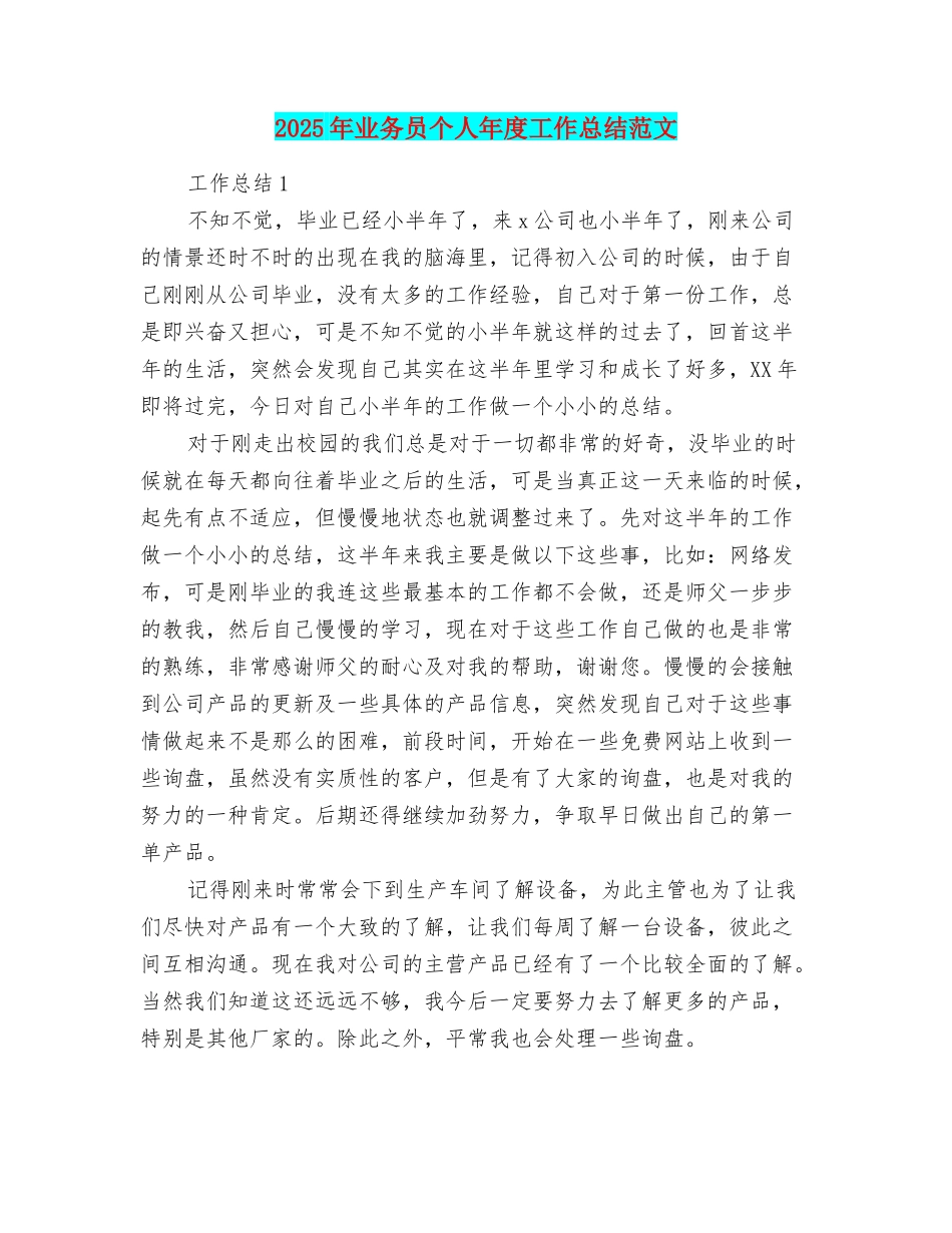 2025年业务员个人年度工作总结范文_第1页