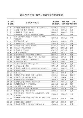 2025年世界前100强公司营业额及利润情况