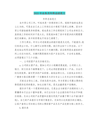 2025年业务员年终总结范文